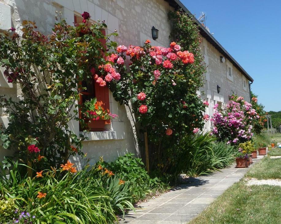 La Maison Des Fleurs Hotel Saint-Senoch Exterior photo